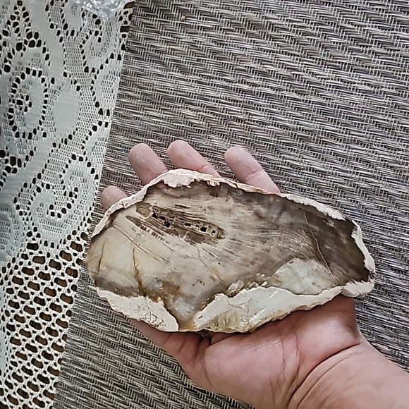 DUSKY PETRIFIED WOOD Slice, Stone Plate, Petrified Wood - Picture 4 of 9